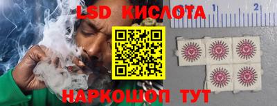 гидра Заводоуковск