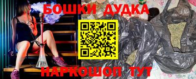 гидра Заводоуковск