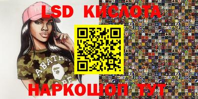 гидра Заводоуковск